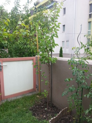 20130730_102030.jpg