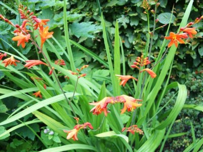 Photo6.jpg