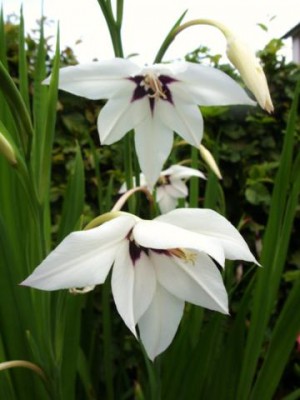 Photo3.jpg