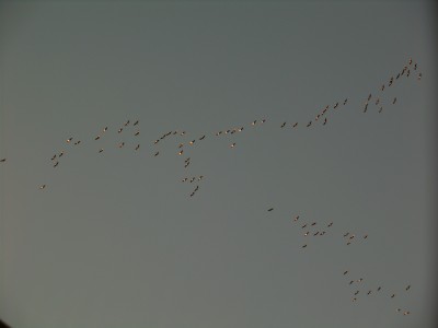 DSCF2351.JPG