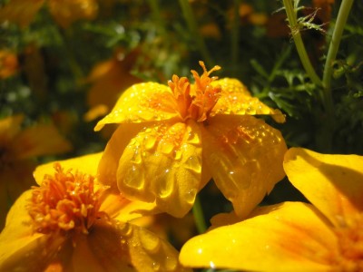 wassertagetes.JPG