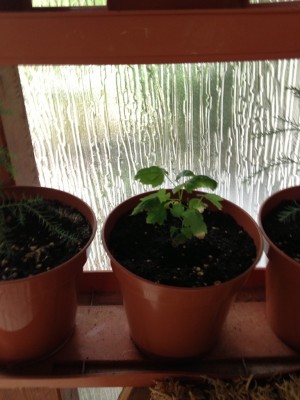 2013-08-09 09.35.30.jpg