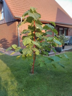 2013-08-09 19.40.43.jpg