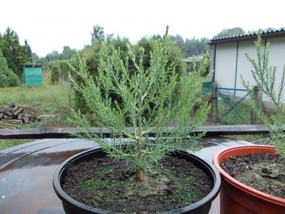 DSCN1862.JPG