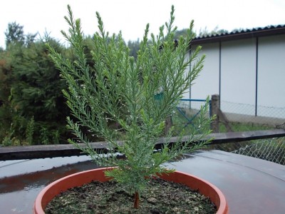 DSCN1868.JPG