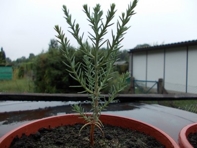 DSCN1877.JPG