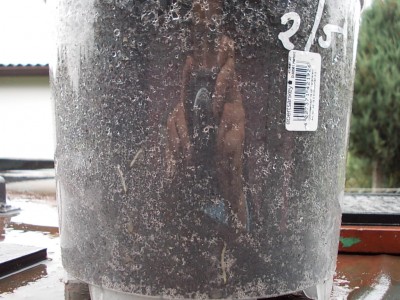 DSCN1873.JPG