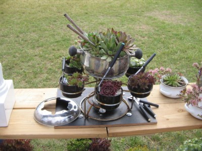IGA 2013 HH 003.JPG