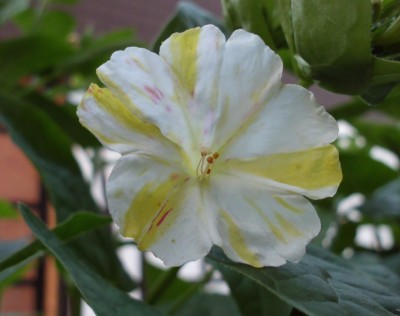 DSCI0881.JPG