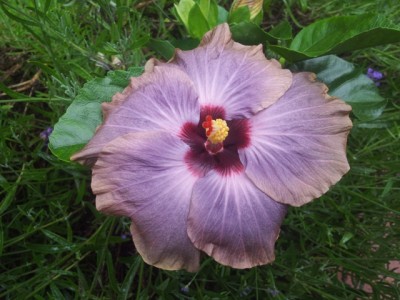 20130629_134103.jpg
