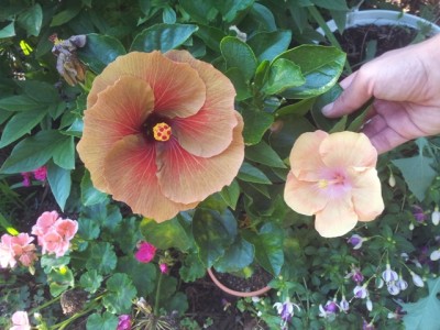 20130809_175051.jpg