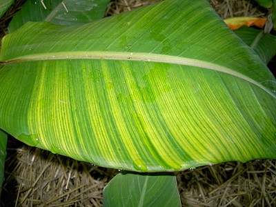 PICT0058.JPG