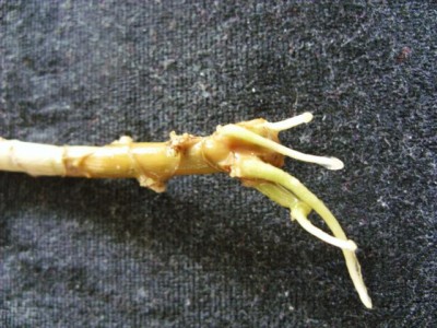 Photo2.jpg