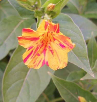 Photo4.jpg