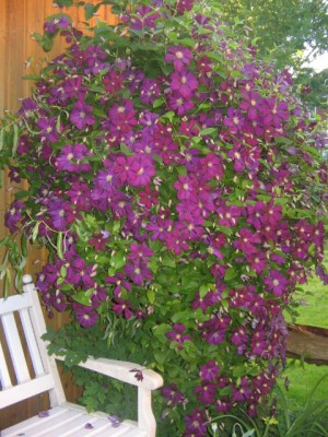 Juli 2013 02 007.JPG