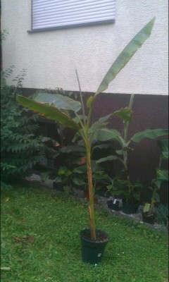 2013-08-13_18-42-55.jpg