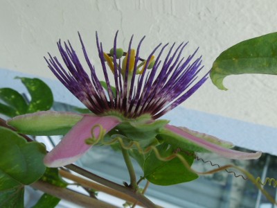 RSCN1479.JPG