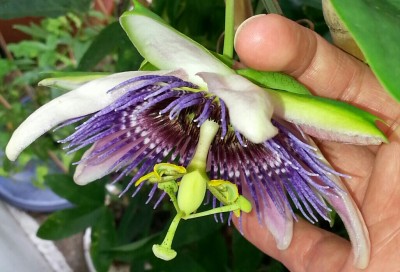 20130808_151652-1-1.jpg