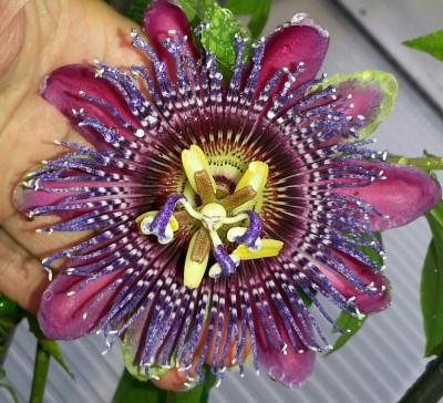 20130807_144425-1-1.jpg