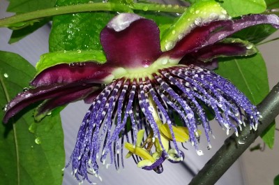 20130807_144432-1-1.jpg