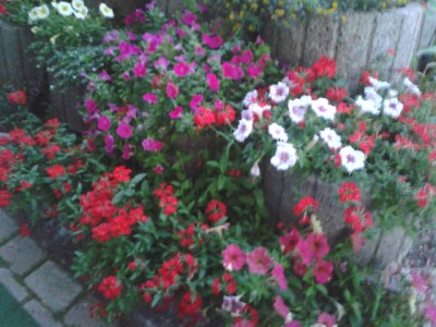 2013-08-14 20.39.54.jpg