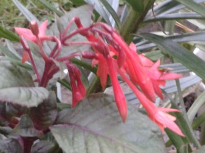2013-06-30 21.04.49.jpg