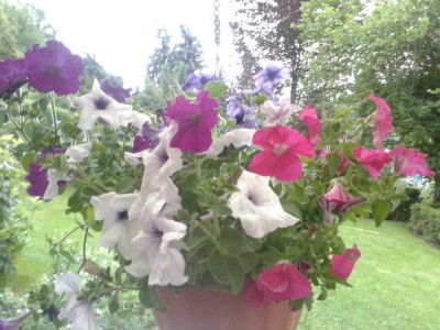 2013-06-30 20.54.49.jpg