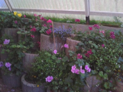 2013-08-14 20.40.41.jpg