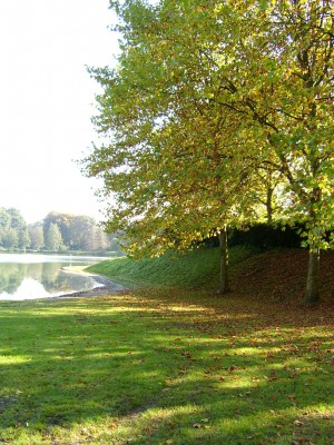 15.10.07   11.00 Uhr (33).JPG