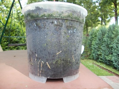 DSCN1939.JPG