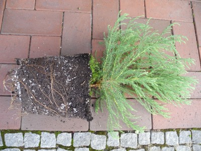 DSCN1223.JPG