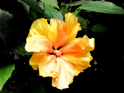 sommer-083.jpg