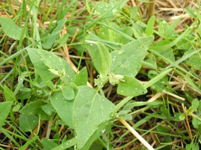 DSCN9851 Kopie.jpg