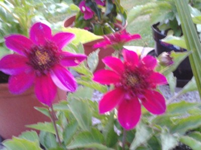 2013-08-20 20.29.39.jpg