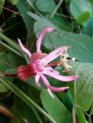 20130817_111437-1.jpg