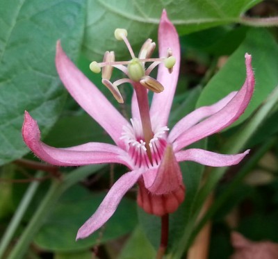 20130817_111448-1.jpg