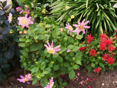 Photo6.jpg