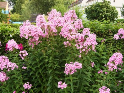 Photo13.jpg