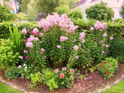 Photo1.jpg