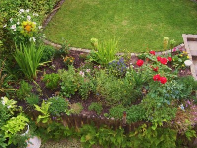 Photo4.jpg