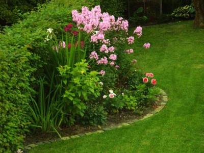 Photo3.jpg