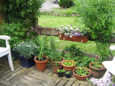 Juni 2013 02 020.JPG