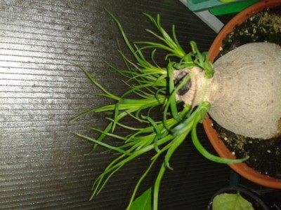 2013-08-20 20.10.45.jpg