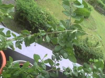 2013-08-23_15-08-02_852.jpg