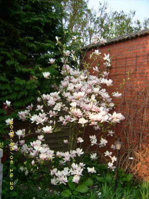 Frühling 2006 078.jpg