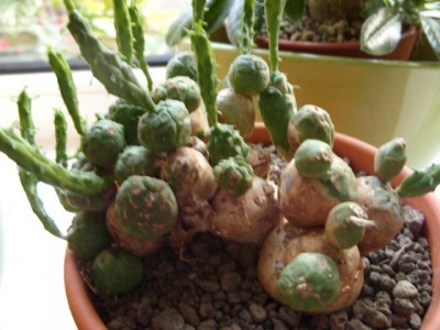 Photo2.jpg