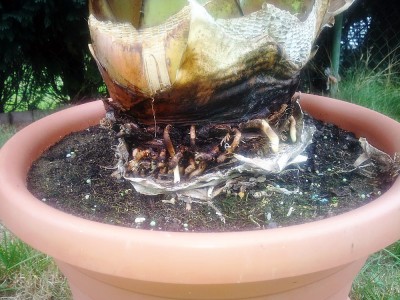 20130825_134245.jpg
