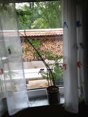 2013-08-25 10.27.37.jpg