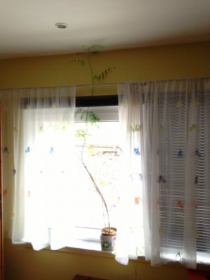 2013-08-25 10.24.45.jpg