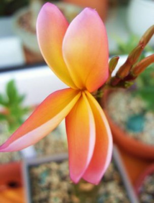 Photo3.jpg